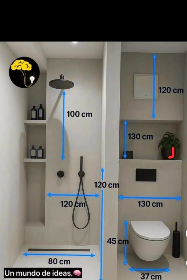 WhatsApp Image 2026-04-20 at 9.21.41 AM (1)